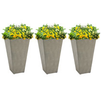 Wayfair  Planters You'll Love in 2024