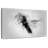 Brampt Small Hummingbird Black And White