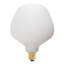 6 Watt White LED Bulb