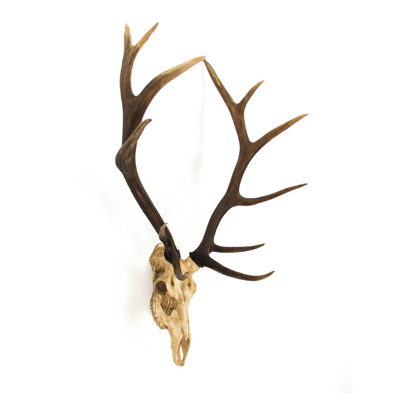 Handmade Resin Wall Decor
