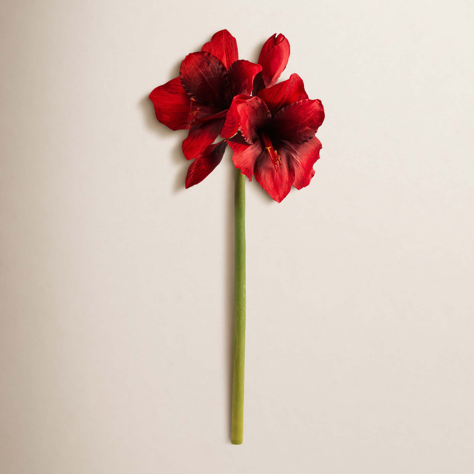 Amaryllis Floral Stems, Christmas Red