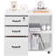 3 -Drawer 2- Shelf Mobile Filing Cabinet-992553066