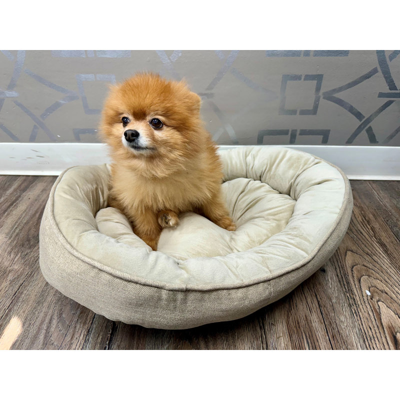 Petit lit pour animaux Cuddlove, L 24 po x P 18 po x H 5 po