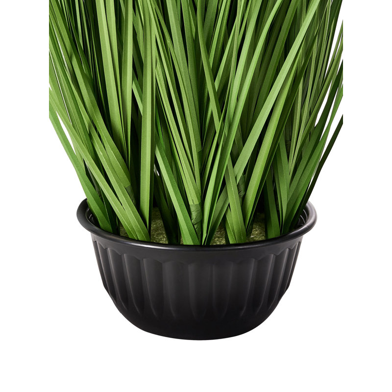 120cm Plant