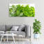 Herbs - No Frame Print on Glass-608814264-608814265