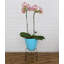 Pot à fleurs en résine de polyéthylène Clent-1078147420-1160772234