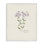 Country Herb Diagram Art by Cindy Jacobs bg-132