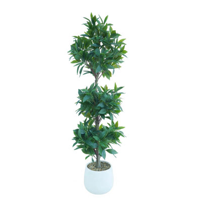 120cm Plant
