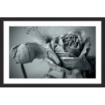 Judy Stalus - Single Picture Frame Print