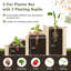 Raised Garden Bed