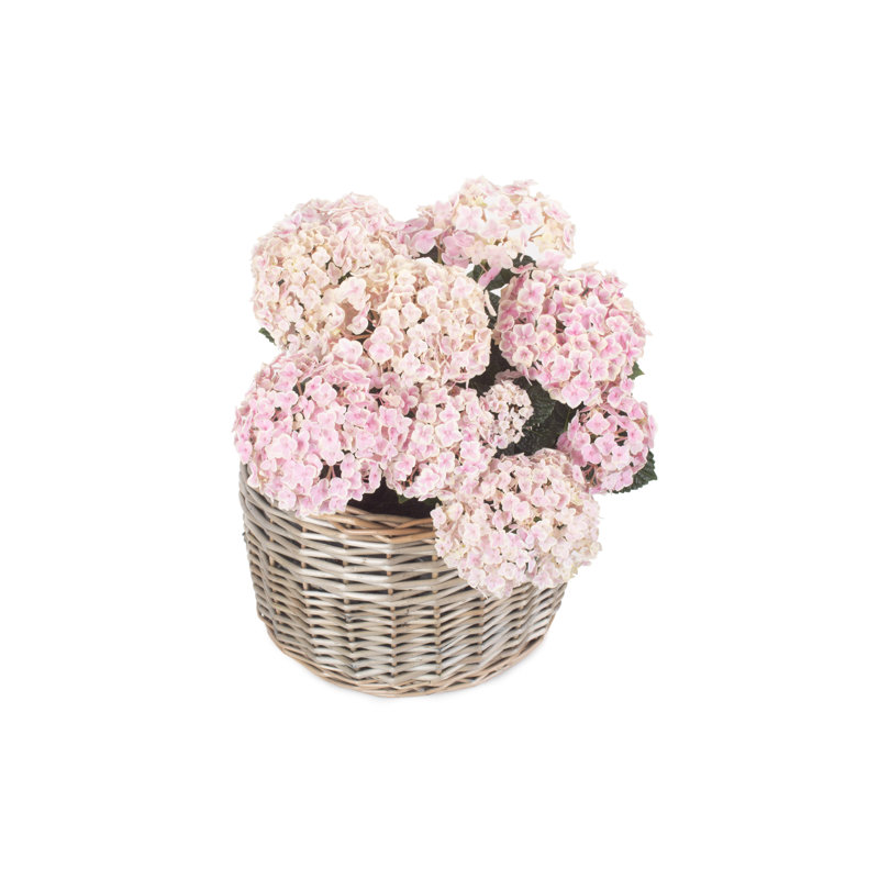 Lily Manor Wicker Planter Basket, 20cm H x 30cm W x 30cm D