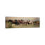A Run Through The Desert by Rhonda Thompson - Wrapped Canvas Panoramic Print-761305872