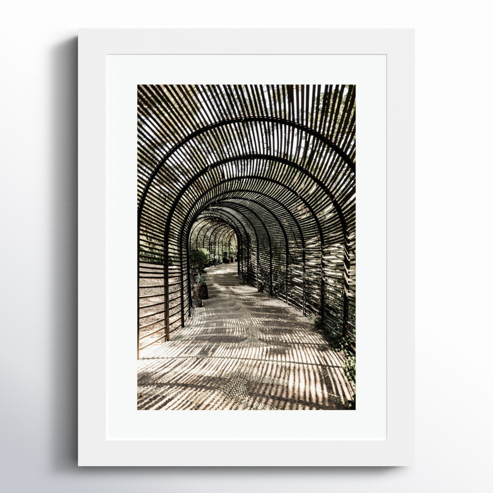 Nihan "Shadow Garden" Print, 13" H x 10" W, White 
