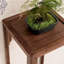 Support pour plante et rangement en bois de noyer noir