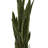 Sansevieria Artificial Plant-1250889578-1250889571