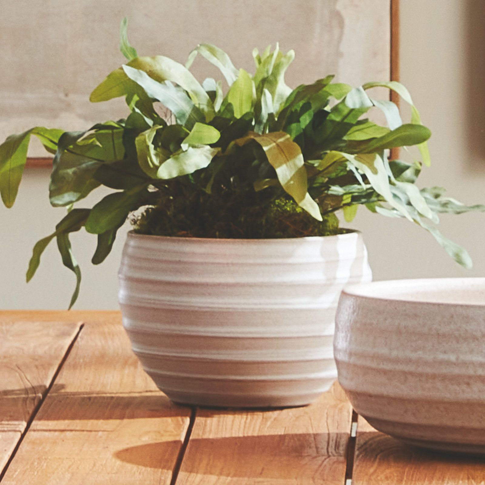Almila 9" Ceramic Pot Planter