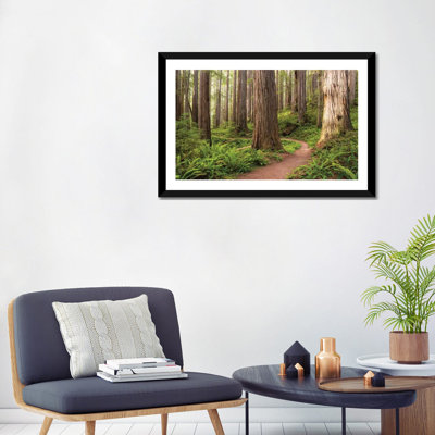 Redwood Trail by Stefan Hefele - Photograph Print on Canvas