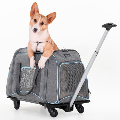 Dayde Collapsible Pet Carrier with 3 Doors