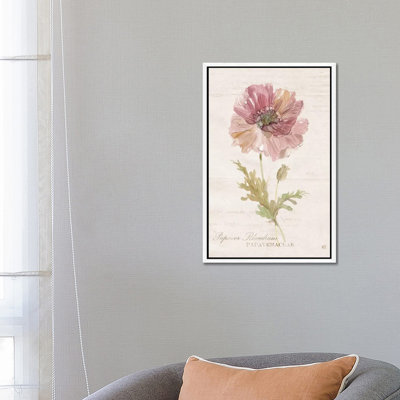 Soft Poppy 1 Piece Painting on Canvas