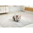 Bough 14.17" Wide Cow Storage Ottoman-2112466907