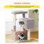Arbre à chat compact et fonctionnel avec grattoir, peluche et aire de repos pour petits et moyens chats-117068902-117068903
