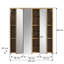 Zeno Mirrored Bathroom Cabinets with Mirror