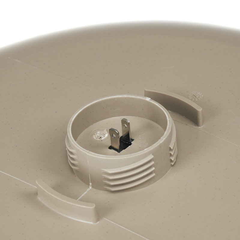 Vasque chauffée pour oiseaux