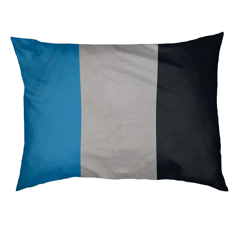 Coussin Detroit, Petit (l 28 po x P 18 po x H 6 po), Blue/Silver/Black