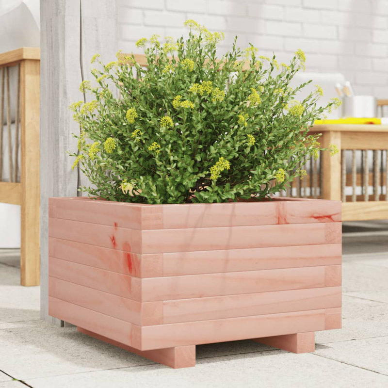 Bhavika Planter Box, 10.43" H x 15.75" W x 15.75" D, Douglas