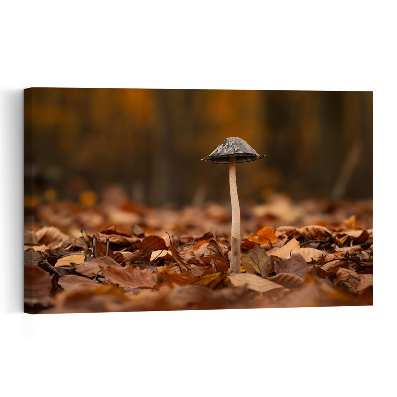 Forêt d'automne, champignons, bio, abstrait, paisible, affiche murale, H 12 po x l 18 po