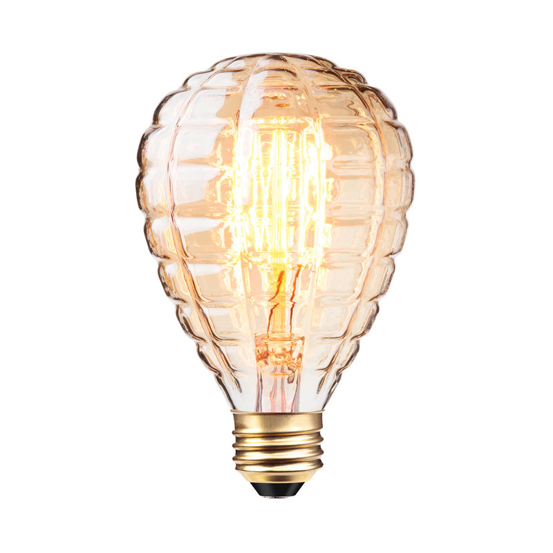 40 watt, g25 incandescente, ampoule à intensité variable, 2700k blanc chaud () e26/base moyenne (standard)