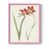 Rose est en rupture de stock