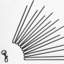Stylos d'exercice Lucky Dog-11941705