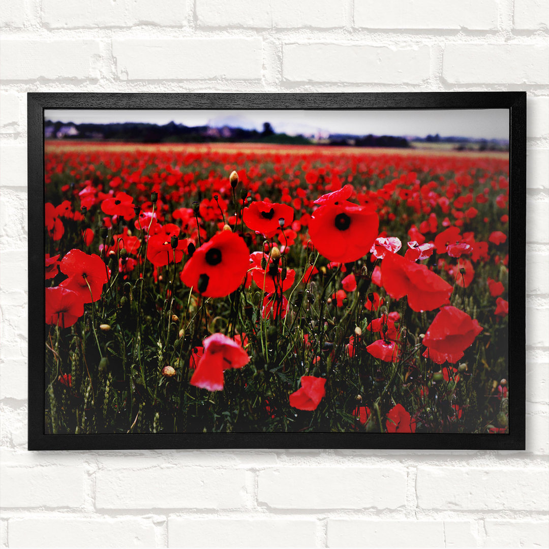 Gerahmtes Leinwandbild Red Poppy Field Hills