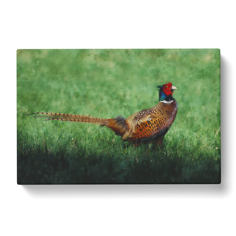 Pheasant Bird Vol.2 - Wrapped Canvas Print, 35cm H x 50cm W x 3cm D