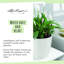 Classico Pot Planter-16493098-16493103