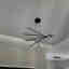 Photos des clients 1 de 1