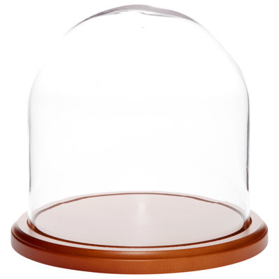 Vucciria Glass Display Dome Cloche