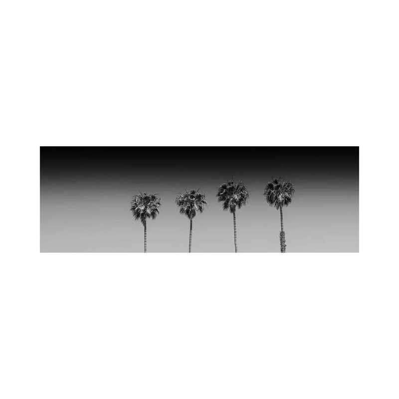 Lovely Palm Trees In Black And White by Melanie Viola - Wrapped Canvas Panoramic Print, 30.48 cm H x 91.44 cm W x 1.91 cm D