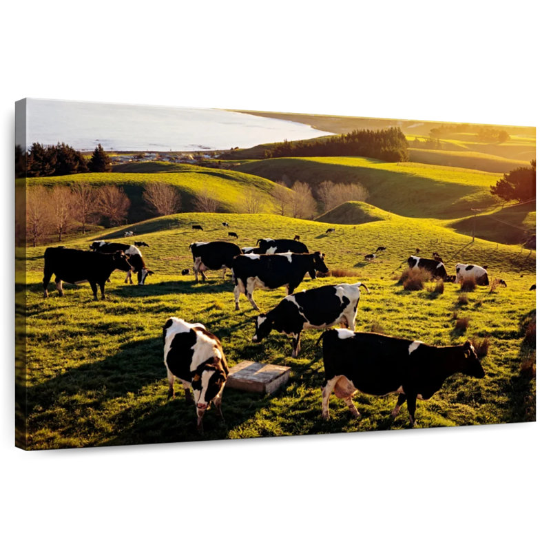 Brampt Hilltop Cows, 16" H x 24" W