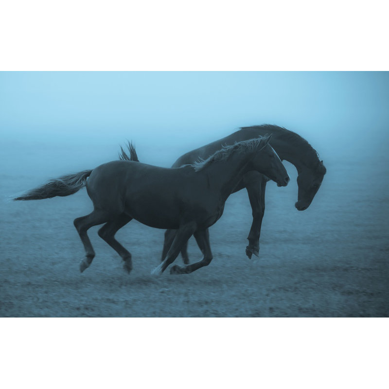 Wrapped Canvas Print, 76.2 cm H x 50.8 cm W