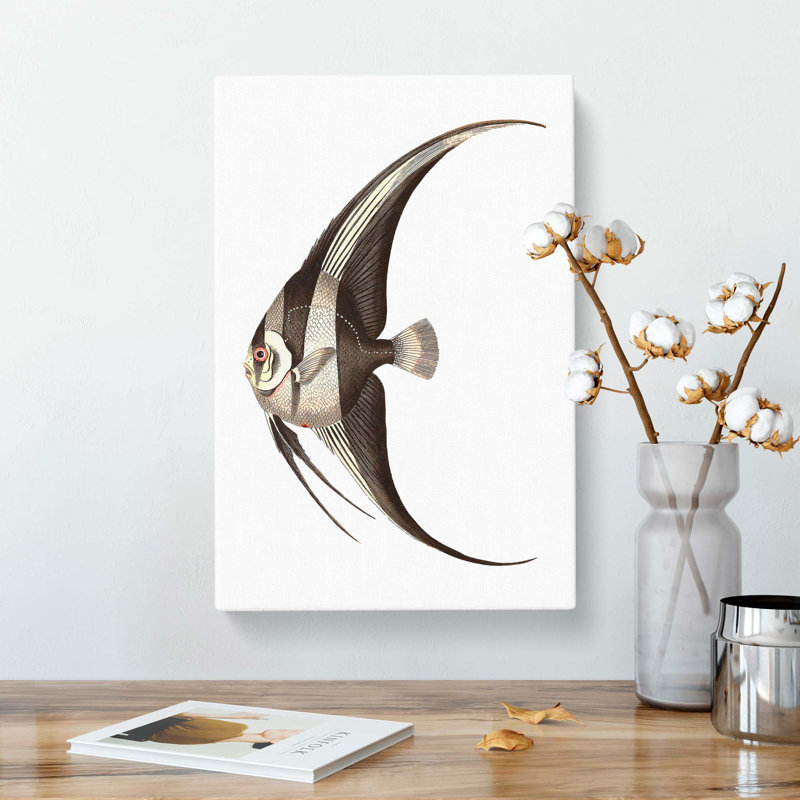 Chaetodon Fish by George Shaw - Wrapped Canvas, 50cm H x 35cm W x 3cm D