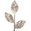 Choix de motif saisonnier Northlight-88519529
