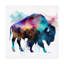 Art sur toile «Buffalo Ben Heine Buffalo»-104110102