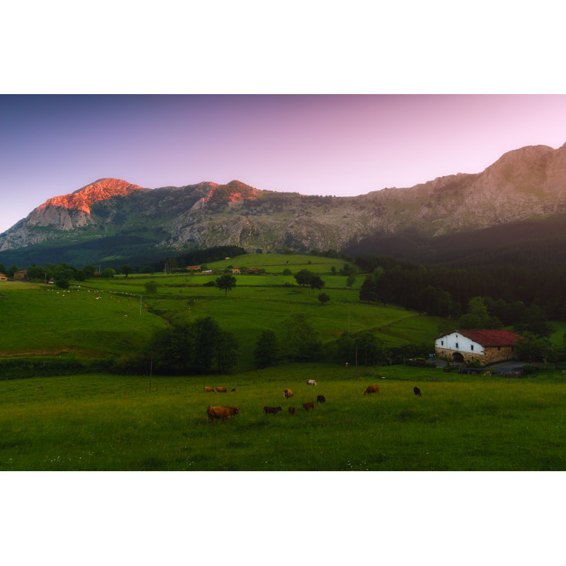 Cows And Sheep by Mimadeo - Wrapped Canvas Print, 51cm H x 76cm W