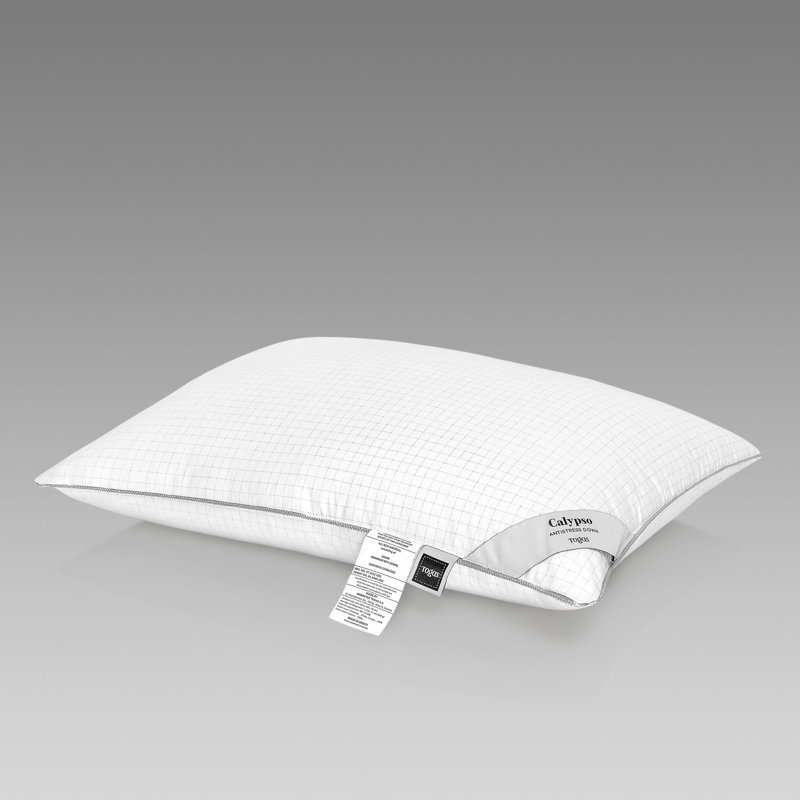 Oreiller ferme en duvet Dalton, Standard