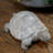 Albertson Animals Figurines & Sculptures