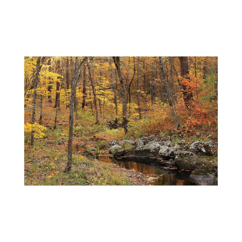 Autumn Creek by Brian Wolf - Wrapped Canvas Print, 20.32cm H x 30.48cm W x 1.91cm D