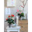 Isra Glass Terrarium-14406162