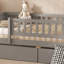 Lit de jour double en bois avec deux tiroirs, gris-749984671-749984664